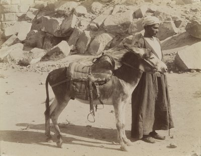 Bourier e Bouriquer, Egitto da Antonio Beato