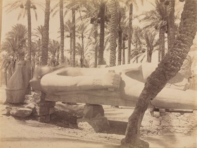 Statua di Ramesse a Saqqara, c. 1870s-1880s da Antonio Beato