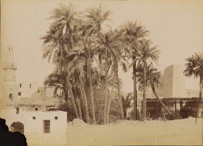 [Villaggio e pilone di Edfu] / [Village et Pylone d