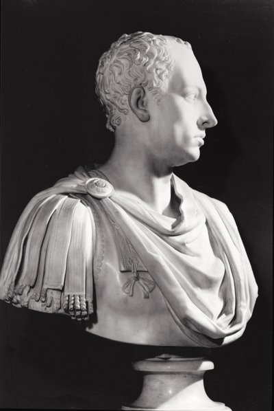Busto ritratto di Francesco I (1708-65), Sacro Romano Imperatore da Antonio Canova