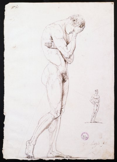 Nudo maschile in piedi di profilo sinistro da Antonio Canova