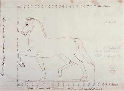 Studio per un cavallo per un monumento equestre (disegno) da Antonio Canova