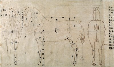 Studio per un cavallo per un monumento equestre da Antonio Canova