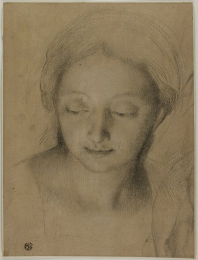 Testa di donna da Antonio Cavallucci