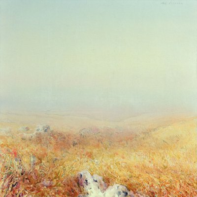 Gargano da Antonio Ciccone