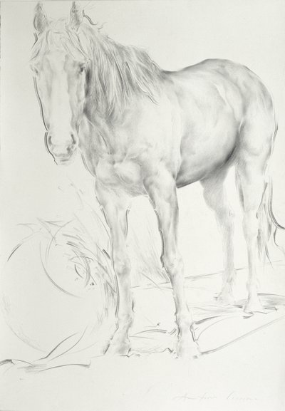 Cavallo a Coolmore, 1990 da Antonio Ciccone