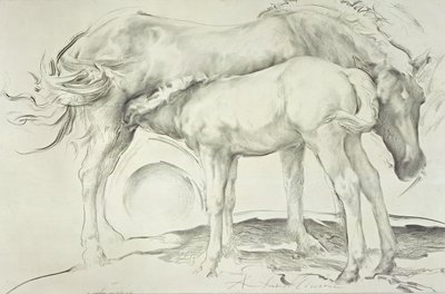 Cavalli a Coolmore, 1990 da Antonio Ciccone