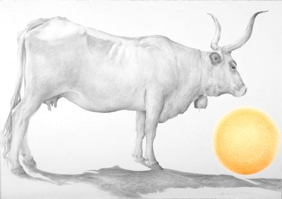 Immagine sconosciuta da Antonio Ciccone