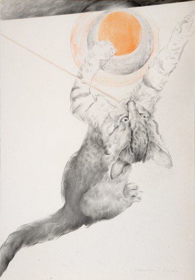 Immagine sconosciuta da Antonio Ciccone