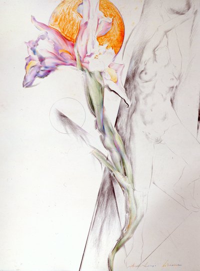Immagine sconosciuta da Antonio Ciccone