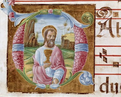 San Giovanni Evangelista Lettrine miniato da Antonio Cicognari. (dettaglio) 1483. Cremona, corale 4, capitolo del duomo da Antonio Cicognara