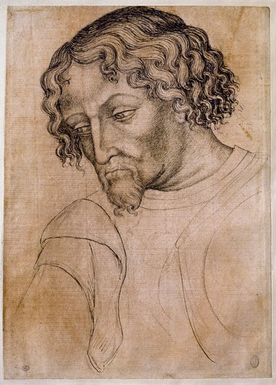 Busto di uomo barbuto, testa inclinata a sinistra da Antonio Pisanello