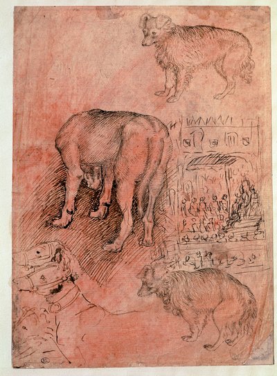Studi di cani. Episodio aulico. Disegno di Antonio Pisano detto il Pisanello da Antonio Pisanello