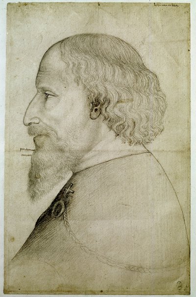 Imperatore Sigismondo di Lussemburgo (1368-1437), visto in busto, di profilo a sinistra da Antonio Pisanello