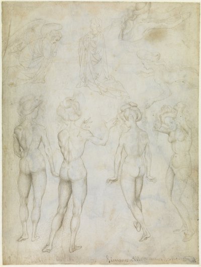 Quattro studi di nudo femminile, un