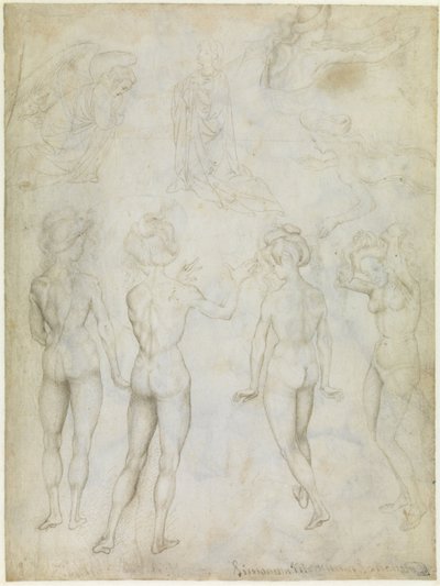 Quattro studi di nudo femminile, un
