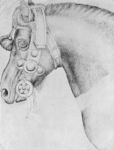 Testa di cavallo, dall
