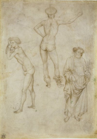 Due studi di figure maschili e San Pietro da Antonio Pisanello
