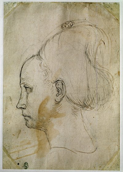 Testa di giovane donna, profilo a sinistra da Antonio Pisanello
