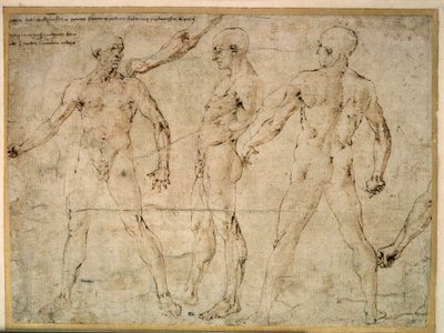 Tre uomini nudi. Disegno di Antonio Pollaiuolo da Antonio Pollaiuolo