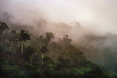 Corcovado XIX, 2020 da Antonio Schubert