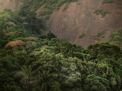 Corcovado XV, 2020 da Antonio Schubert