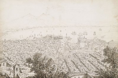 Veduta panoramica di Napoli da Antonio Senape
