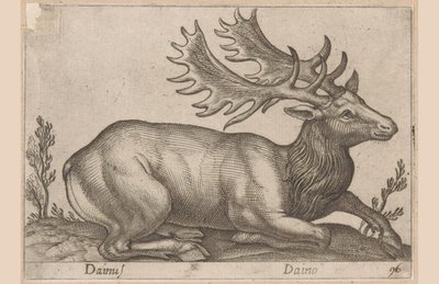 Daino (serie: Animali e creature favolose; Nuova raccolta degli animali più curiosi del mondo) da Antonio Tempesta