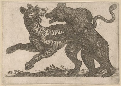 Un orso che combatte con una tigre da Antonio Tempesta