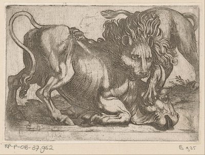 Un leone attacca un toro da Antonio Tempesta