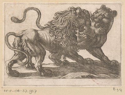 Un leone che combatte con una leonessa (serie Vechtende dieren) da Antonio Tempesta