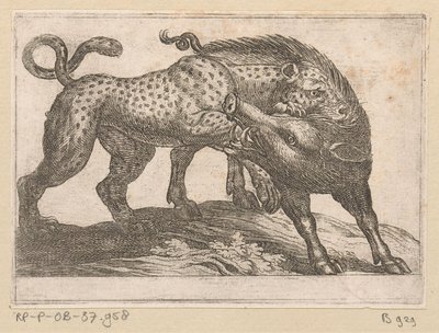 Un leopardo che combatte con un cinghiale da Antonio Tempesta