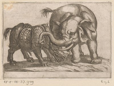Un rinoceronte combatte con un elefante da Antonio Tempesta