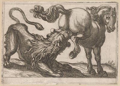 Un cavallo che calpesta un leone da Antonio Tempesta