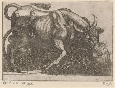 Un toro in lotta con un leone da Antonio Tempesta