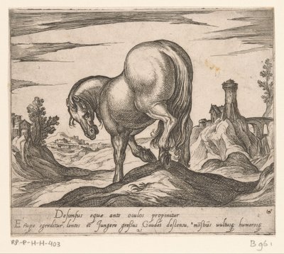 Cavallo che scende una collina visto da dietro (serie Paarden uit verschillende landen, His ducibus princeps celebraberis ore viroru illa homines beat haec sideribusq locat) da Antonio Tempesta
