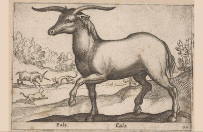 Cavallo con corna da Antonio Tempesta