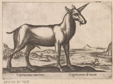 Capricorno marino da Antonio Tempesta