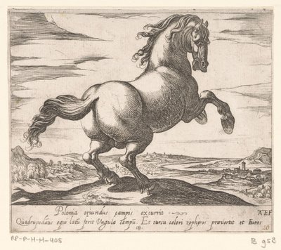 Cavallo impennato rivolto a destra (cavalli di diversi paesi) da Antonio Tempesta