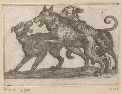 Due cani in lotta con un lupo da Antonio Tempesta