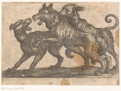 Due cani in lotta con un lupo (serie: Vechtende dieren) da Antonio Tempesta