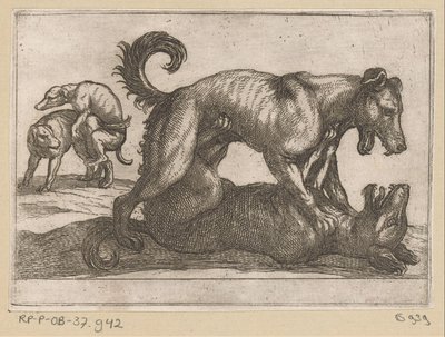 Due cani che si accoppiano e due che combattono da Antonio Tempesta