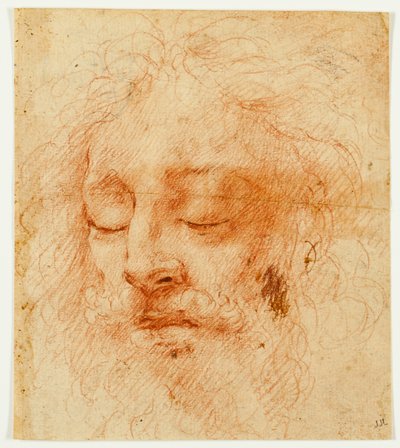 Testa di un uomo che dorme da Antonio da Correggio