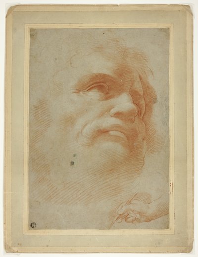 Testa Maschile e Schizzo di Mano Destra che Tiene uno Stilo da Antonio da Correggio