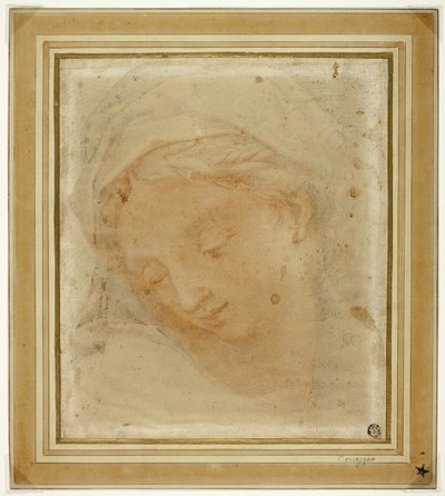 Testa di donna da Antonio da Correggio