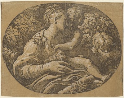 La Vergine con la rosa da Antonio da Trento