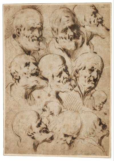 Studio delle teste degli apostoli da Antonio del Castillo y Saavedra