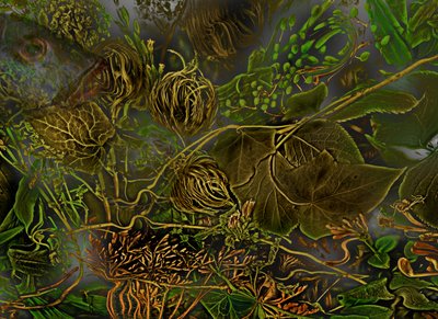  da Antonius Antonius