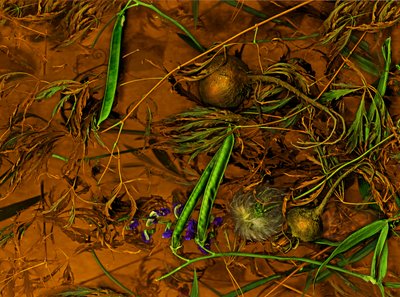  da Antonius Antonius