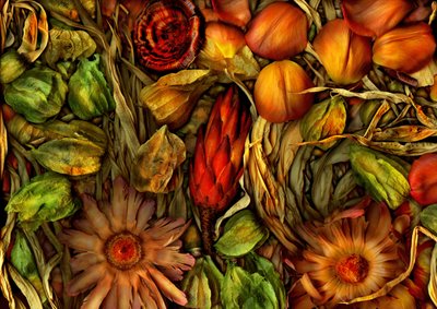  da Antonius Antonius